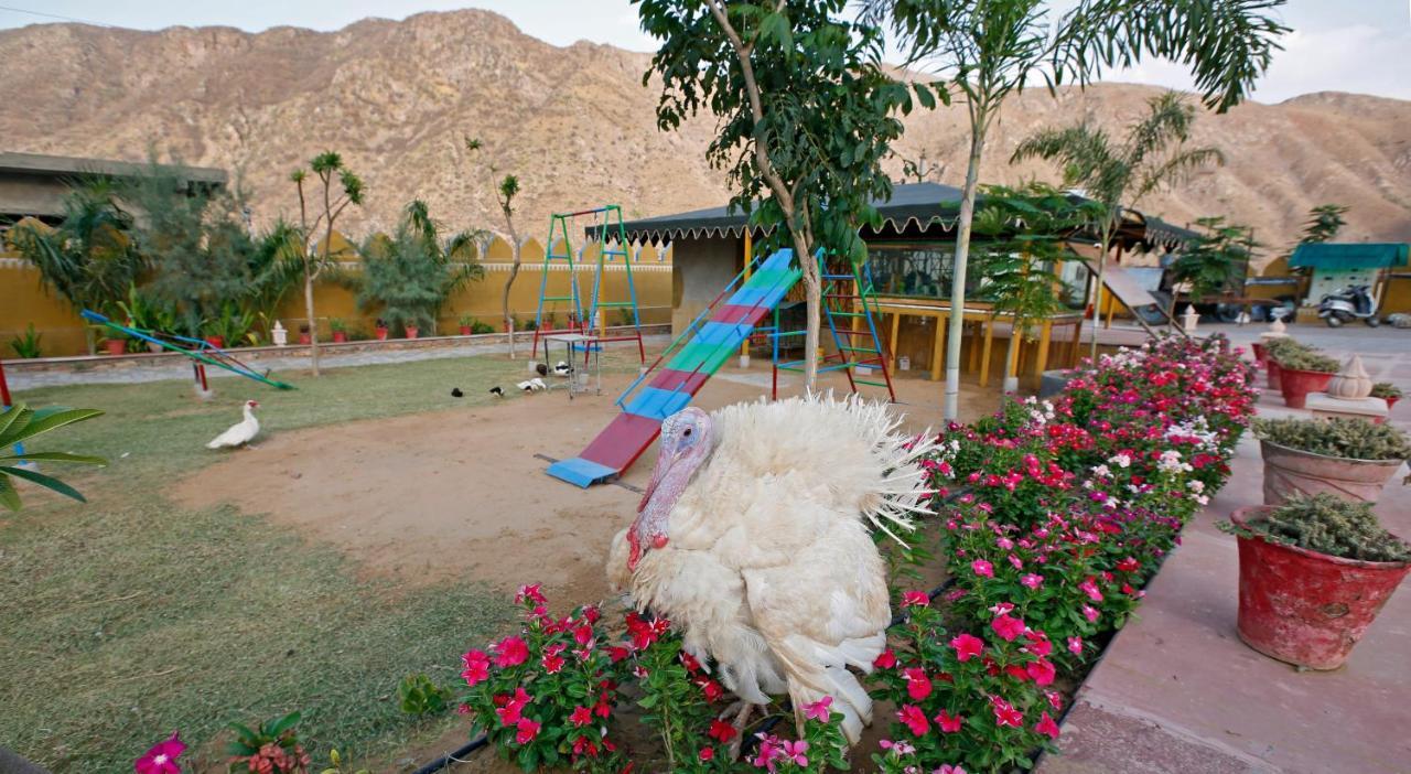 Serene Aravali Resort, Pushkar Exteriör bild